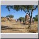 Old Halls Creek.jpg